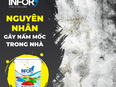 Nguyên nhân gây nấm mốc trong nhà và cách xử lý